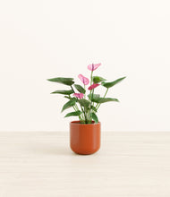 Load image into Gallery viewer, Glossy Red*****Profile