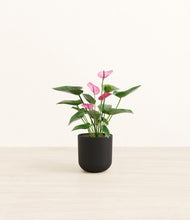 Load image into Gallery viewer, Stone Black*****Profile