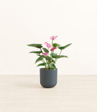 Load image into Gallery viewer, Iron Gray*****Profile