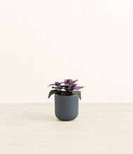 Load image into Gallery viewer, Iron Gray*****Profile