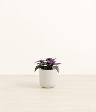 Load image into Gallery viewer, Natural Bamboo*****Profile