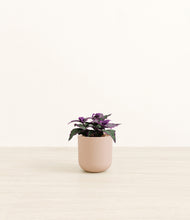 Load image into Gallery viewer, Sandy Pink*****Profile