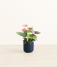 Load image into Gallery viewer, Twilight Blue*****Profile