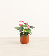 Load image into Gallery viewer, Glossy Red*****Profile