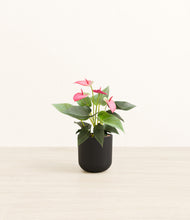 Load image into Gallery viewer, Stone Black*****Profile