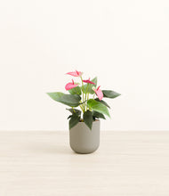 Load image into Gallery viewer, Sage Green*****Profile