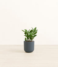 Load image into Gallery viewer, Iron Gray*****Profile