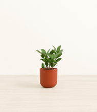 Load image into Gallery viewer, Earth Red*****Profile