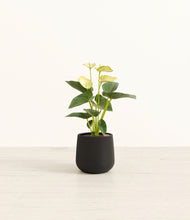 Load image into Gallery viewer, Black*****Profile