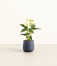 Load image into Gallery viewer, Deep Navy*****Profile