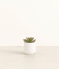 Load image into Gallery viewer, White*****Profile