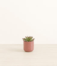 Load image into Gallery viewer, Hammered Rose Pink*****Profile