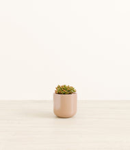 Load image into Gallery viewer, Glossy Pink*****Profile