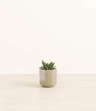 Load image into Gallery viewer, Sage Green*****Profile