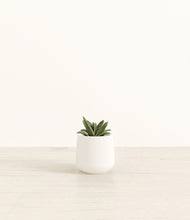 Load image into Gallery viewer, White*****Profile