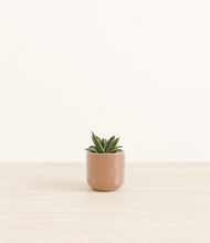 Load image into Gallery viewer, Hammered Peach Pink*****Profile