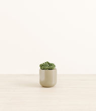 Load image into Gallery viewer, Sage Green*****Profile