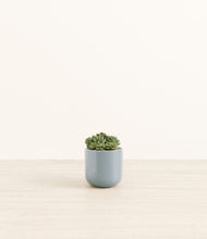 Load image into Gallery viewer, Misty Blue*****Profile