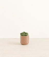 Load image into Gallery viewer, Hammered Peach Pink*****Profile