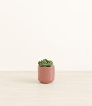 Load image into Gallery viewer, Hammered Rose Pink*****Profile