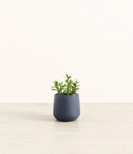 Load image into Gallery viewer, Deep Navy*****Profile