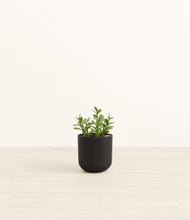 Load image into Gallery viewer, Stone Black*****Profile