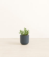 Load image into Gallery viewer, Iron Gray*****Profile