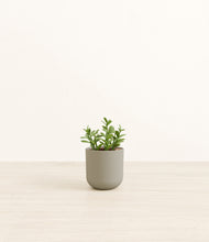 Load image into Gallery viewer, Sage Green*****Profile