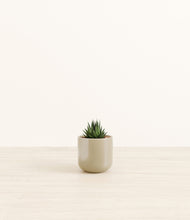 Load image into Gallery viewer, Sage Green*****Profile