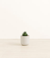 Load image into Gallery viewer, Natural Bamboo*****Profile