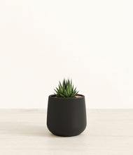 Load image into Gallery viewer, Black*****Succulent