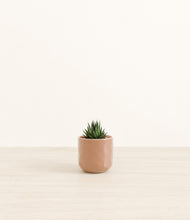 Load image into Gallery viewer, Hammered Peach Pink*****Profile
