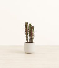 Load image into Gallery viewer, Cotton White*****Profile