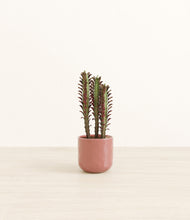 Load image into Gallery viewer, Hammered Rose Pink*****Profile