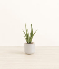 Load image into Gallery viewer, Snowdrift White*****Profile