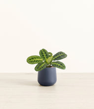 Load image into Gallery viewer, Deep Navy*****Profile