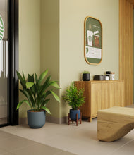 Load image into Gallery viewer, Charcoal