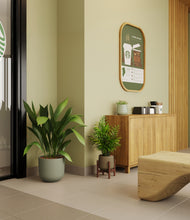 Load image into Gallery viewer, Earthy