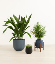 Load image into Gallery viewer, Charcoal*****Profile