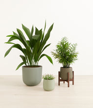 Load image into Gallery viewer, Earthy*****Profile