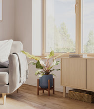 Load image into Gallery viewer, Deep Navy stand:walnut
