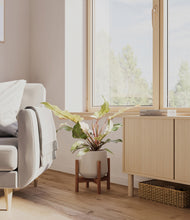 Load image into Gallery viewer, Eternal Gray stand:bamboo