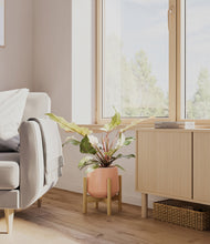 Load image into Gallery viewer, Calm Rose stand:bamboo