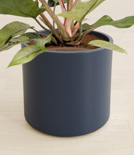 Load image into Gallery viewer, Deep Navy stand:all