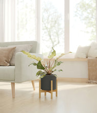 Load image into Gallery viewer, Dark Olive stand:bamboo