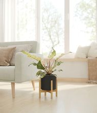 Load image into Gallery viewer, Black stand:bamboo