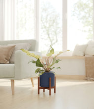 Load image into Gallery viewer, Deep Navy stand:walnut