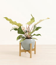 Load image into Gallery viewer, Deep Ocean stand:bamboo