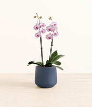 Load image into Gallery viewer, Deep Navy*****Profile