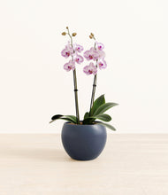 Load image into Gallery viewer, Deep Navy*****Profile